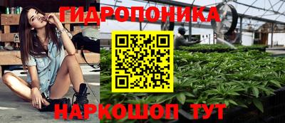 прущий лед Будённовск