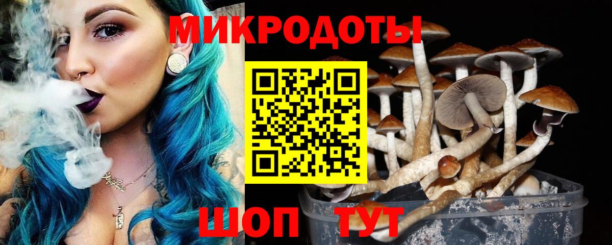 Прохладный  Псилоцибиновые грибы GOLDEN TEACHER  Вход с VPN 